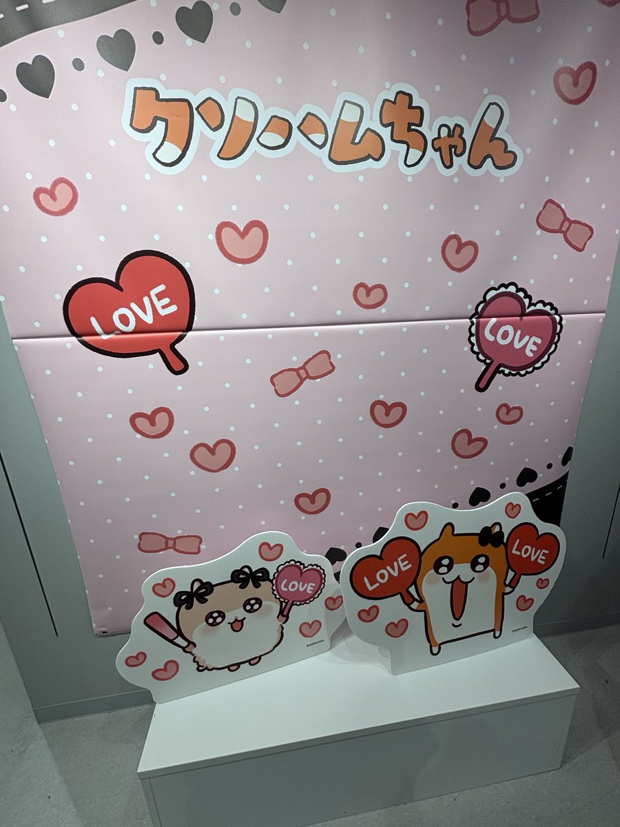 きた！