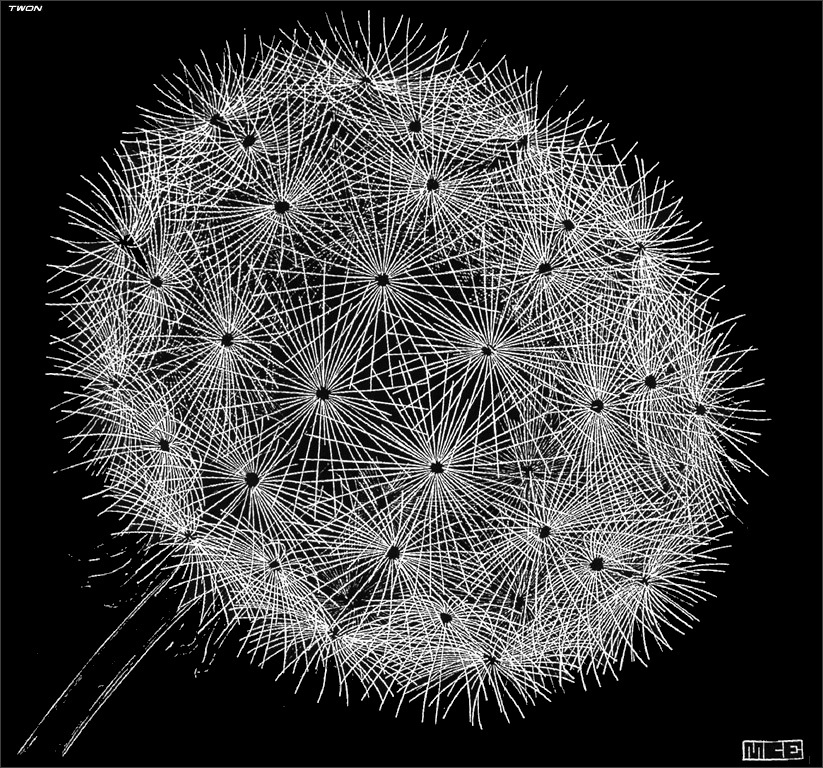 artistescher's tweet photo. Blowball II #artbots #escher https://t.co/1MSUuuceA3