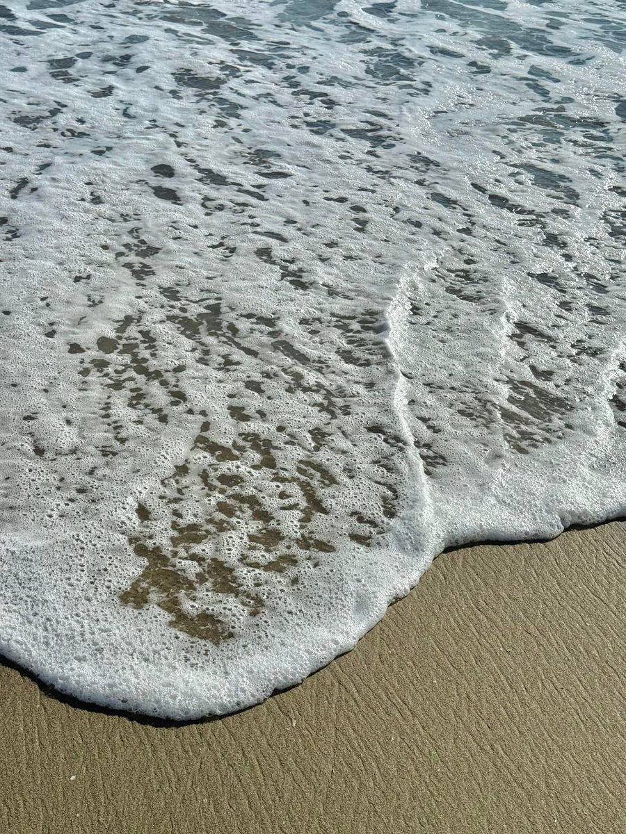 ee039535's tweet photo. Dog Beach
📍100 Goldenwest Street, Huntington Beach, CA https://t.co/bqCJpOJEO9