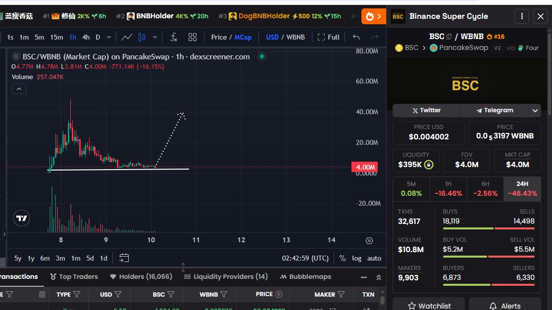 1Probonker's tweet image. $BSC at its bottom and this is the best entry You can make for 10x 

0x6331BF8D601f0D7F0d2101772af5137c418c4444