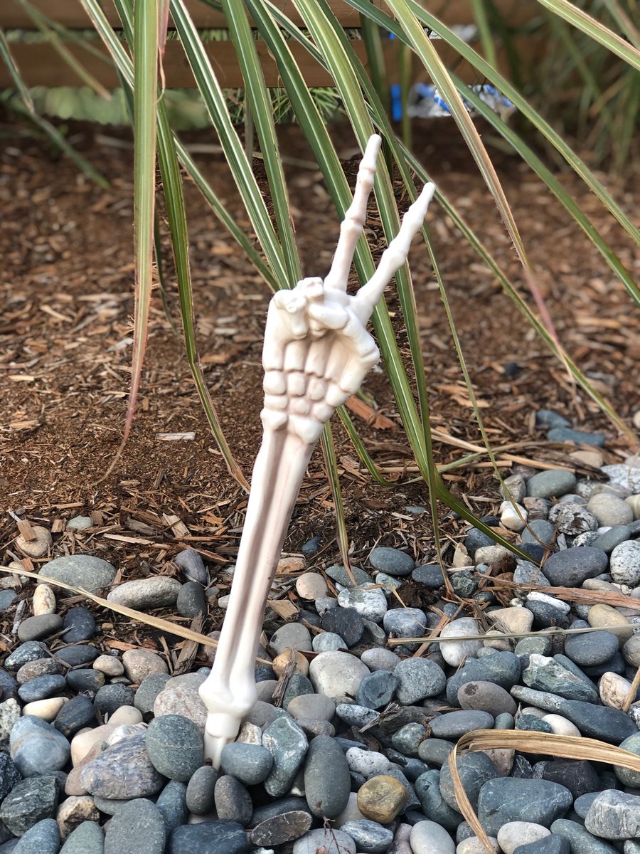 ing (@cvmevents) on Twitter photo 