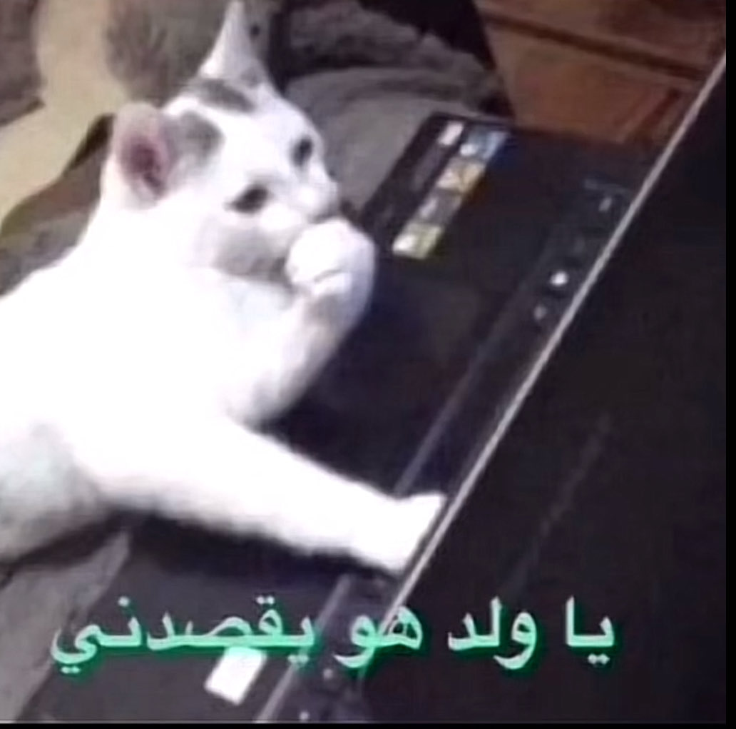 Fahad tweet media