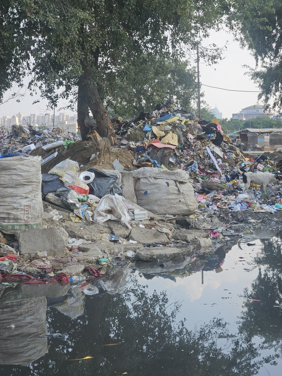 Ekansh_'s tweet photo. @AMRUTCityGzb Shakti Khand 4 Indirapuram GHZ drowning in garbage! 🚨 Children  facing breathing issues, health warnings everywhere, but Nagar Nigam shamelessly keeps dumping waste. No help, only neglect. Are you waiting for deaths? https://t.co/C0LUmaQwk5