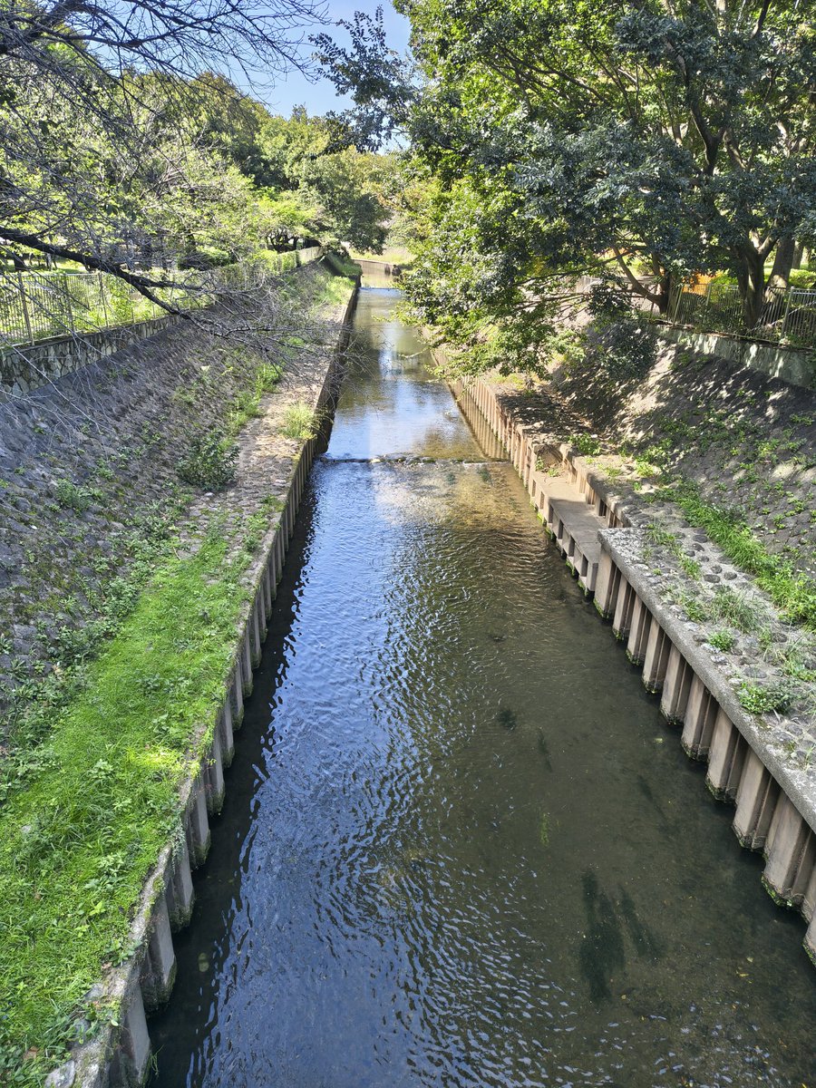 今日は楽器がよく鳴りますね。なんて美しい響きだ！