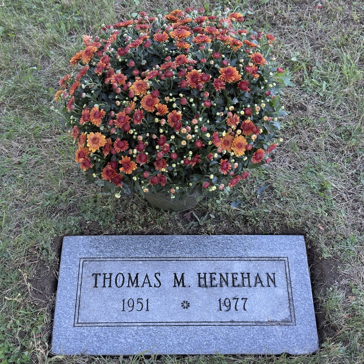 One week from today, it will have been 48 years since the assassination of Tom Henehan—fighter for #Trotskyism and for World Socialist Revolution—at age 26. The memory of Tom burns as brightly as ever in the International Committee of the Fourth International.