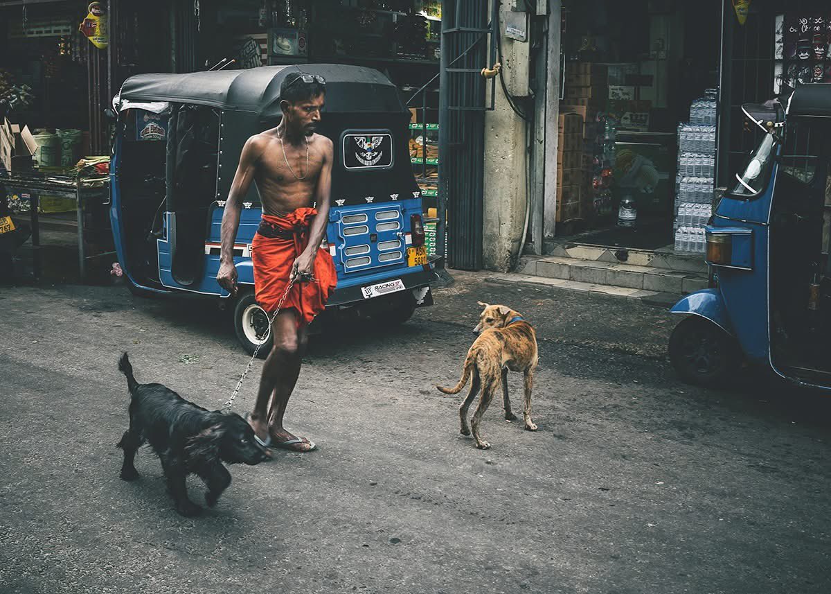 S_MorningLight's tweet photo. UNTAMED
Nagalagam St, Grand Pass, Colombo. Oct 2025. More@ https://t.co/f6kKlOkwDI
#streetphotographer #urbanexplorer #srilankatraveller #streetphotographysrilanka #streetsofcolombo #urbexsrilanka https://t.co/pKpMyTOhjF