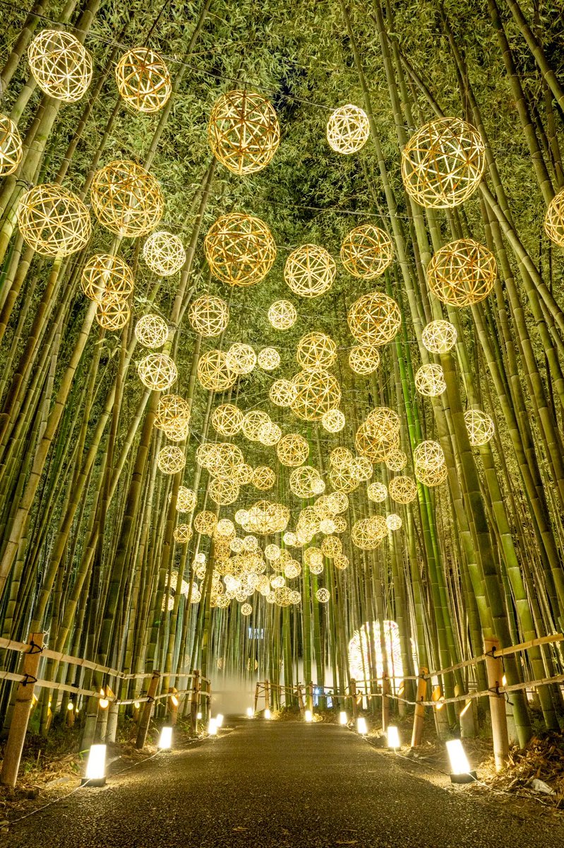 ✨京都・嵐山の夜が幻想的に✨
ライトアップイベント「嵐山月灯路」開催中！

「嵐山花灯路」以来、4年ぶりとなる夜の特別イベントです。
ぜひおでかけください♪

📅開催期間：10/31(金)まで

▼詳しくはこちら
arashiyama-tsukitouro.jp

#京阪 #Keihan