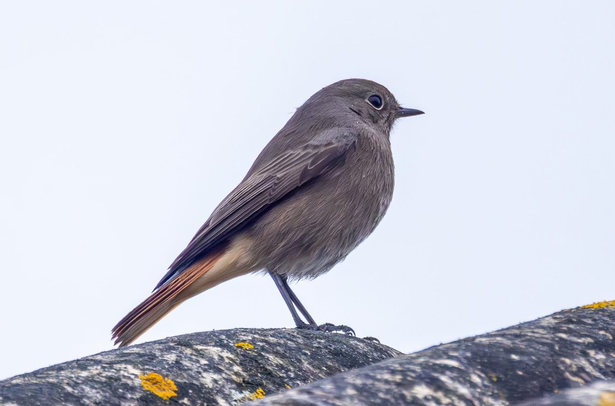 Peter Garrity tweet media