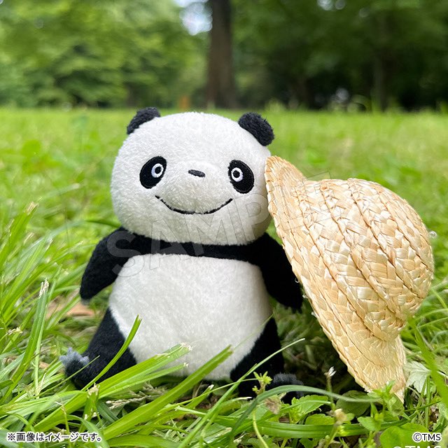 パンダコパンダ パンダコパンダ | トップページ