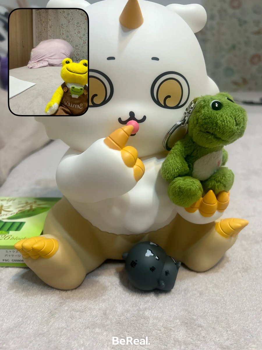 かえるのピクルス　BeReal