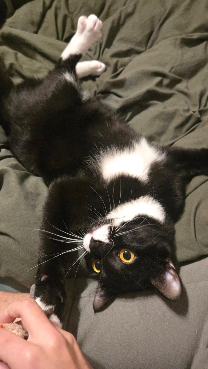 viruspost tweet media