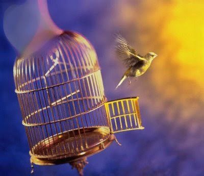 #صباح_الخير 

التغافل عن ضجيج المجتمع وإزعاجه

لذةٍ من  ذاقها  ماعاد  فرّط . . . فيها

صباح الخير ❤️