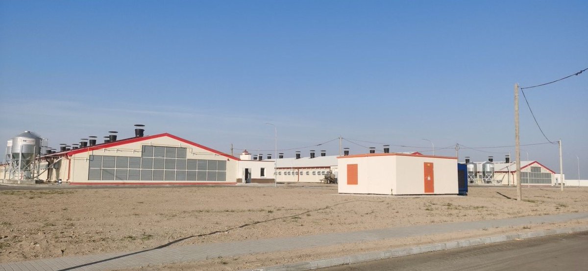 retechfarming's tweet image. 🌍 RETECH Project Update | Belarus 

📲 WhatsApp: +86 185 6181 8850
📧 Email: admin@retechfarming.com
🌐 retechfarming.com

#RETECHFarming #PoultryFarming #chickencage #chickenfarm #Belarus