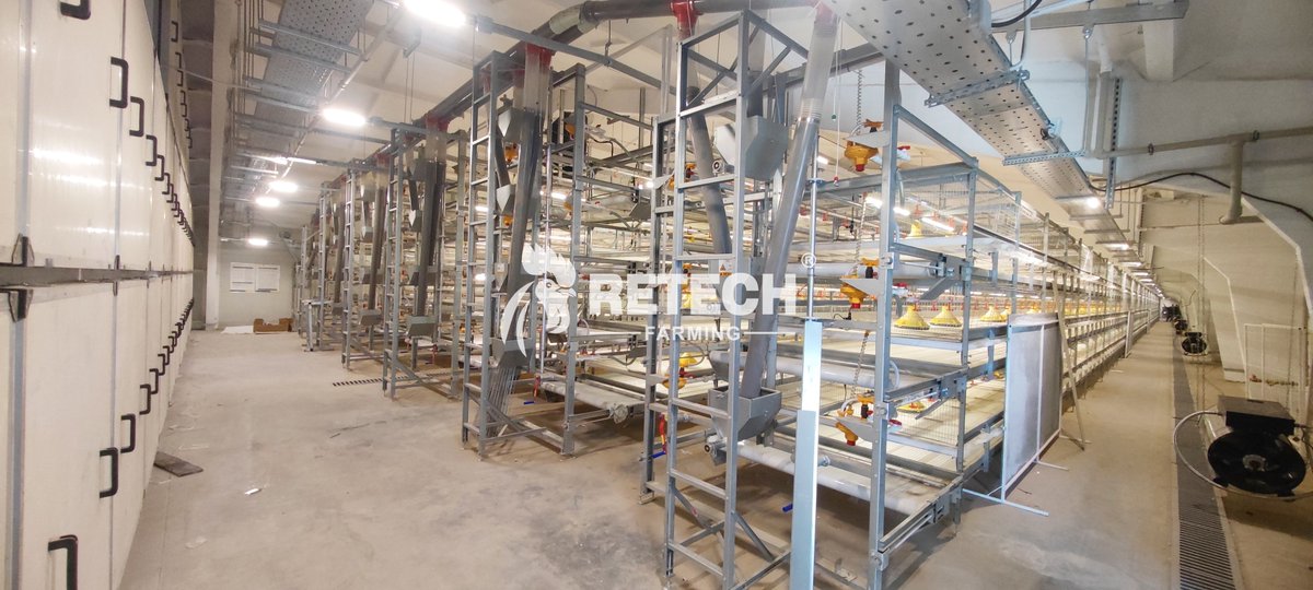 retechfarming's tweet image. 🌍 RETECH Project Update | Belarus 

📲 WhatsApp: +86 185 6181 8850
📧 Email: admin@retechfarming.com
🌐 retechfarming.com

#RETECHFarming #PoultryFarming #chickencage #chickenfarm #Belarus