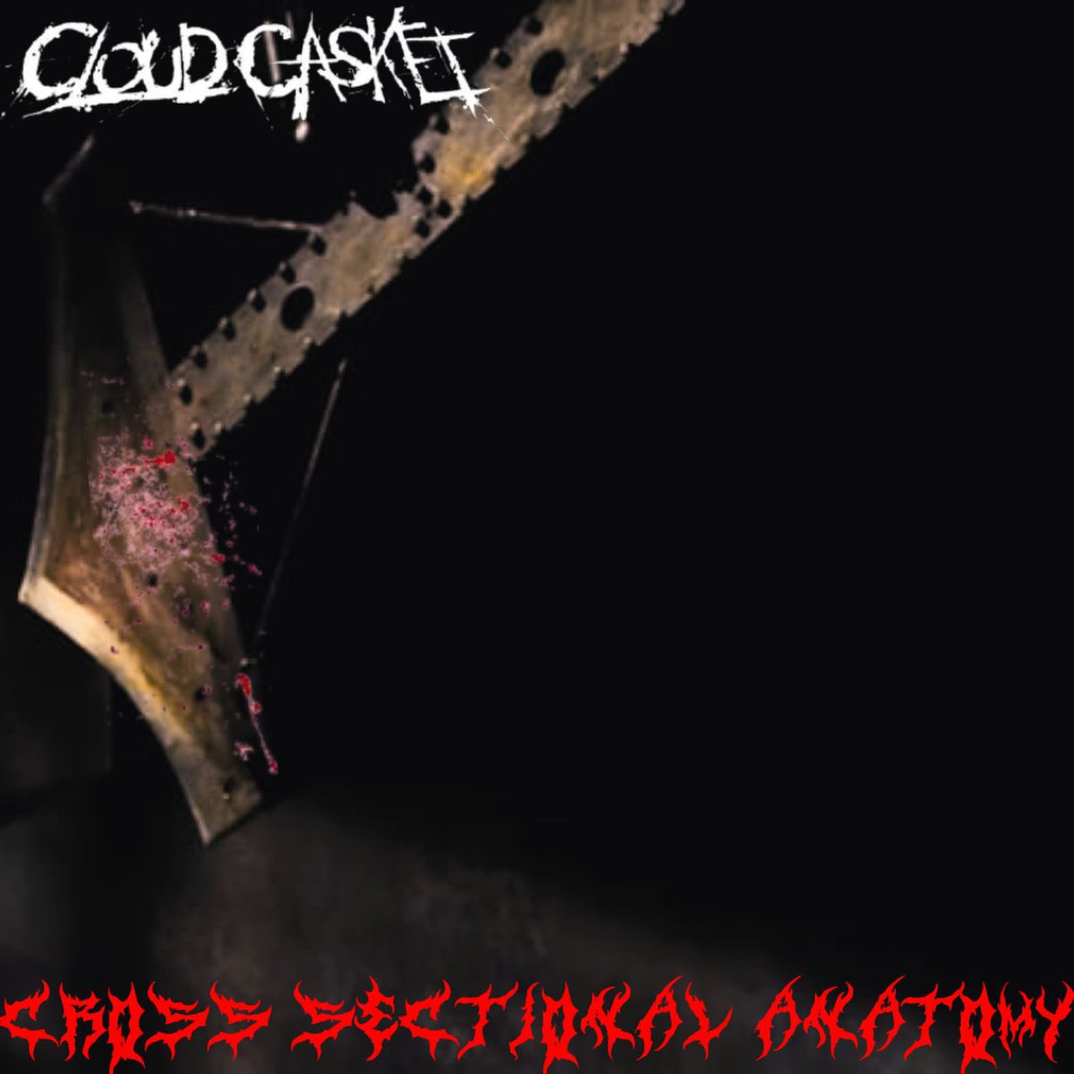 ARE YOU READY? 

CROSS SECTIONAL ANATOMY
TONIGHT
ALL STREAMING PLATFORMS 

#newmusic #deathmetal #newsong