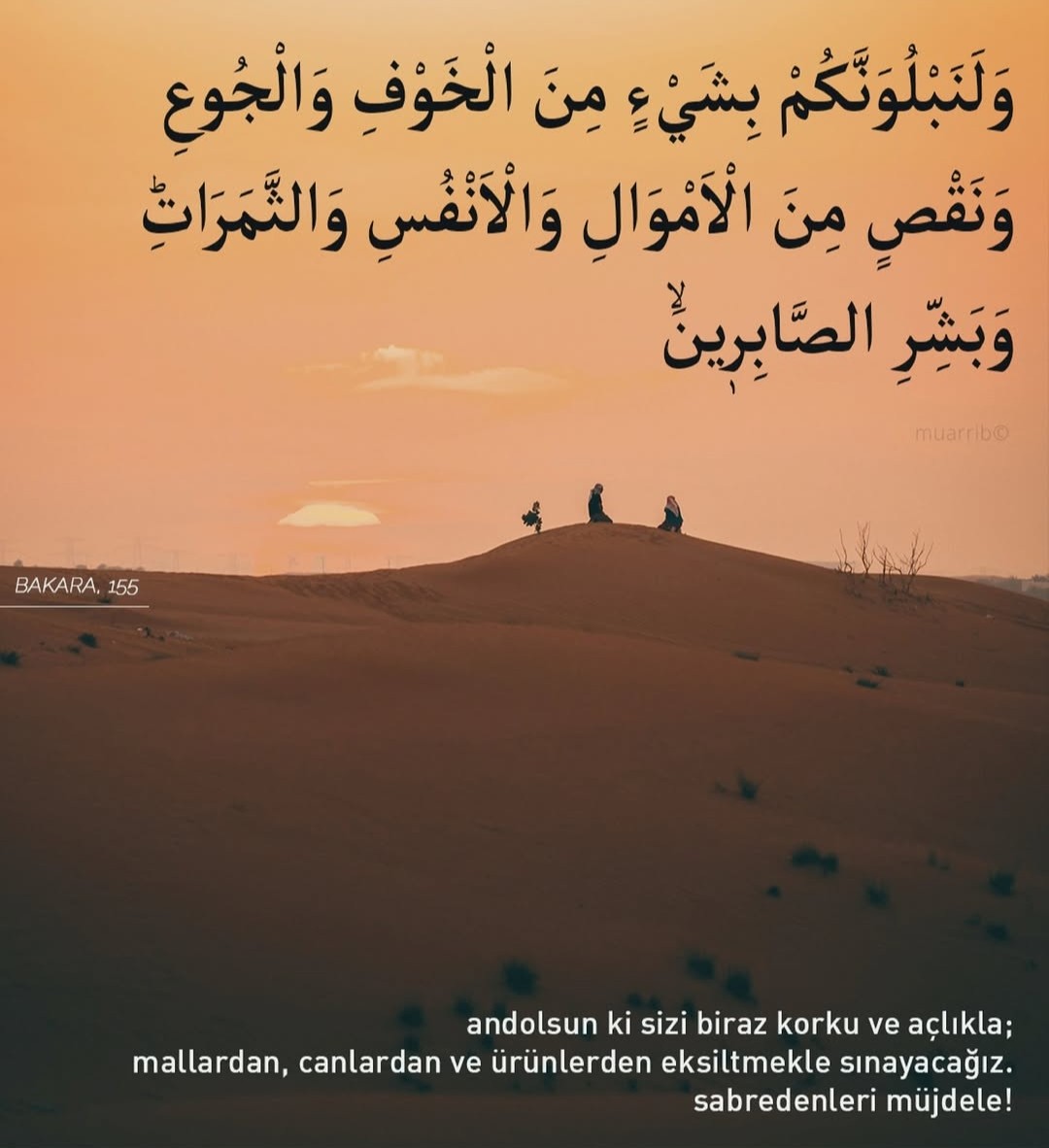 metn_dall's tweet photo. https://t.co/fXF9Ep9AQH