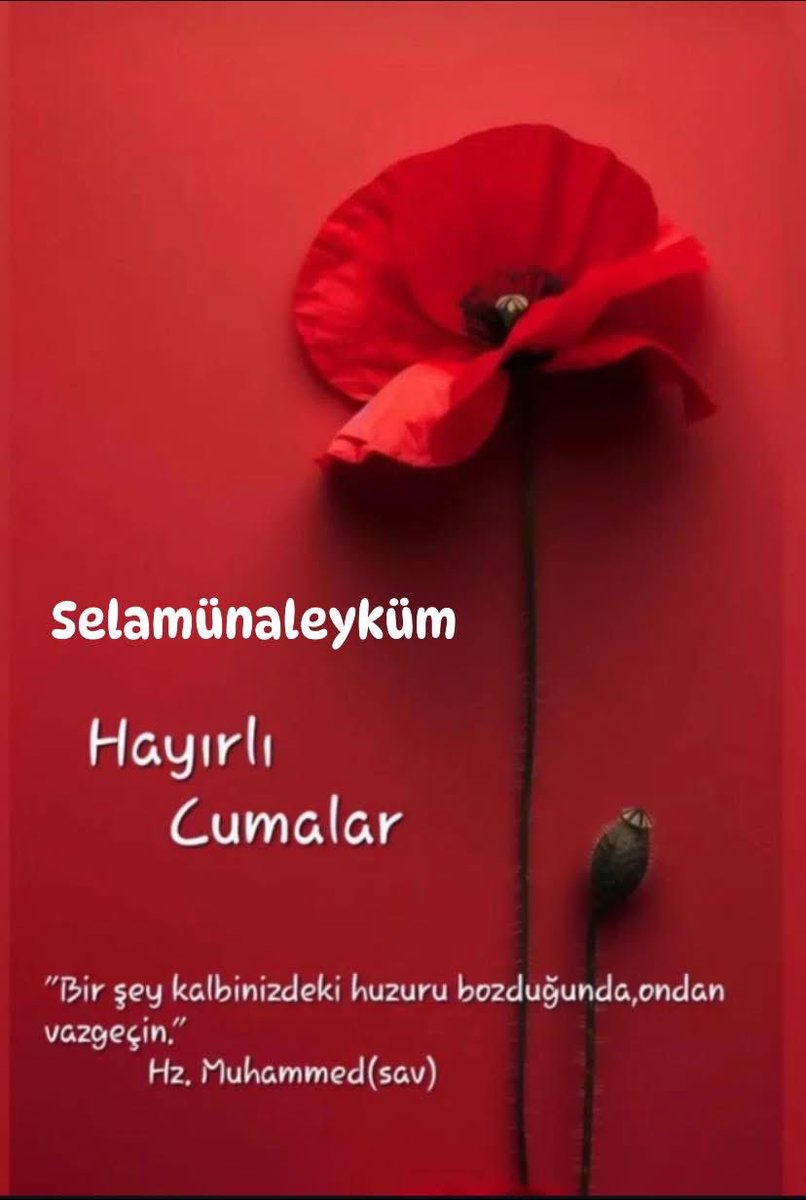 Selamünaleyküm 
<a href="/YE_polat/">Yunus Emre Polat</a> 
<a href="/KonakZafer/">ZAFER KONAK</a> <a href="/AbdulhadiOzatas/">Abdulhadi Özataş</a> <a href="/KutahyaYigit/">Abdullah yiğit Kütah</a> <a href="/muzaffer_blbl61/">Muzaffer Bülbül</a> 
<a href="/ImamCad/">Haci İmam ÇADIRCI</a> <a href="/Ziyafb4/">Ziyafb</a> <a href="/_bir63/">Mehmet</a> 
<a href="/dedesi_y/">Y.Selim'in dedesi</a> <a href="/mevliyaogluu/">Mehmet Evliyaoğlu</a> 
<a href="/adem_hosanli/">Adem HOSANLI</a> @nuhgalip60
<a href="/hasantemur/">Hasan Aktemur.</a> <a href="/OsmanOsmanbzkrt/">osman bozkurt</a> <a href="/senolravzaa/">Şenol Kızılkaya</a> 
<a href="/SKAfridi_1/">Sajid Khan Afridi ساجد خان آفریدی</a> <a href="/muhsinsari0303/">Muhsin Sarı II</a>
#HayırlıCumalar
