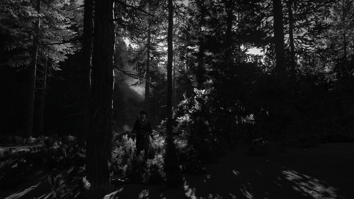 Origamikiller69's tweet photo. Ghost of Yotei 
#GhostofYotei #PS5 #PS5Share https://t.co/33Vc0RqA5K