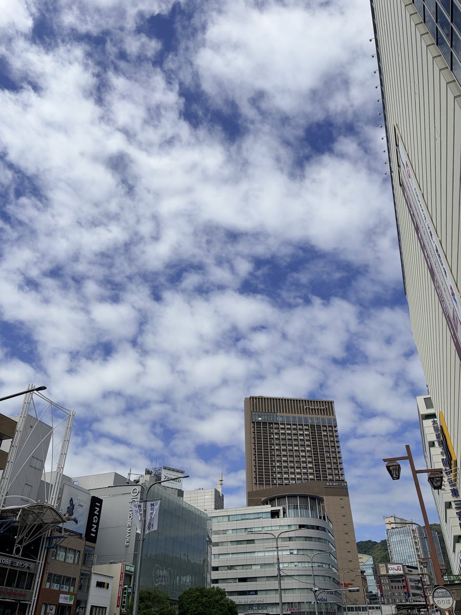 シャロティー tweet media