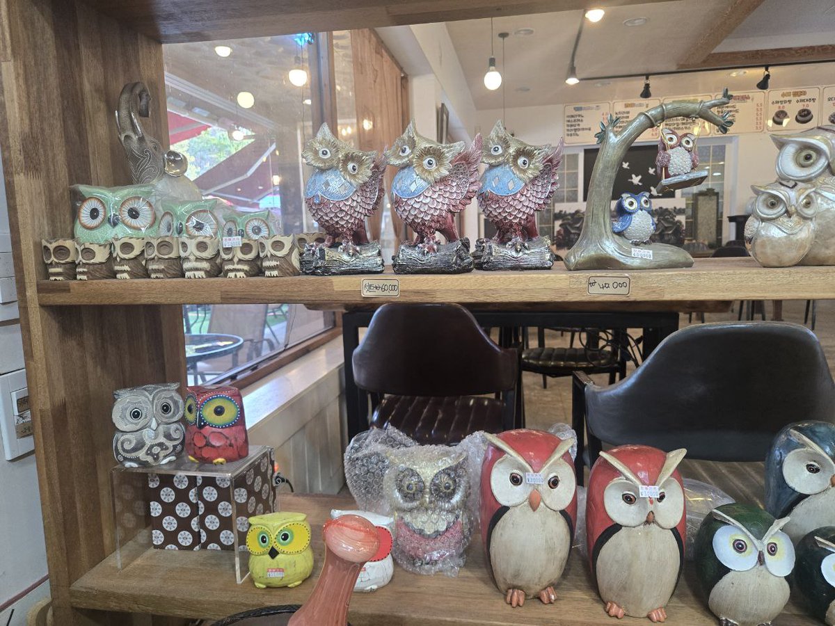 MoneyStack9's tweet image. 🦉 Found an Asian @moonbirds while on vacation

GM birbish fam!

Korea is currently celebrating an unprecedented 10-day Thanksgiving holiday.

I visited a famous Korean temple called “Naesosa” to find some peace of mind with my family 

and there, I came across an Asian Moonbird.…