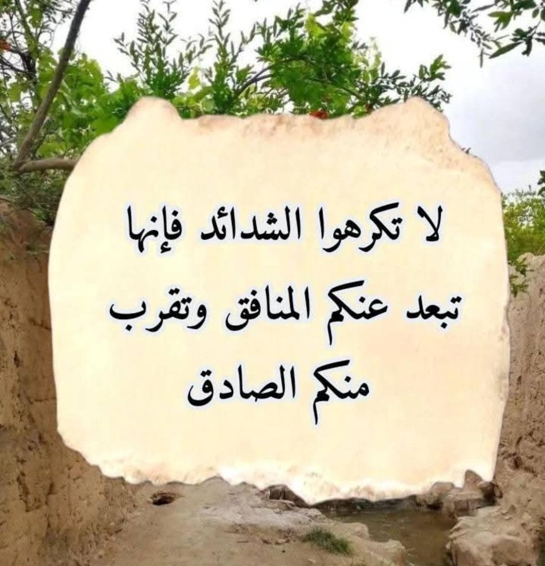 sarab20_08's tweet photo. https://t.co/M2HuVolcRR