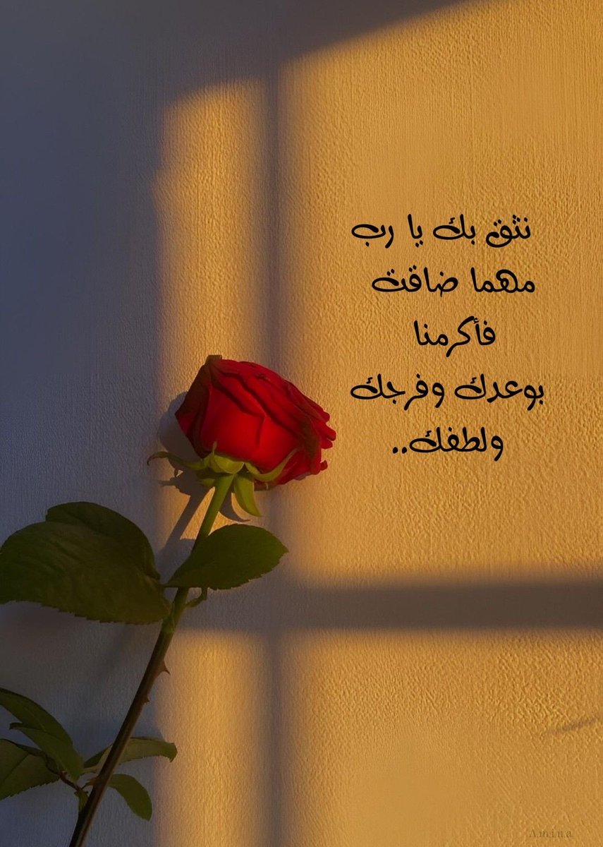 ltz_hla's tweet image. 