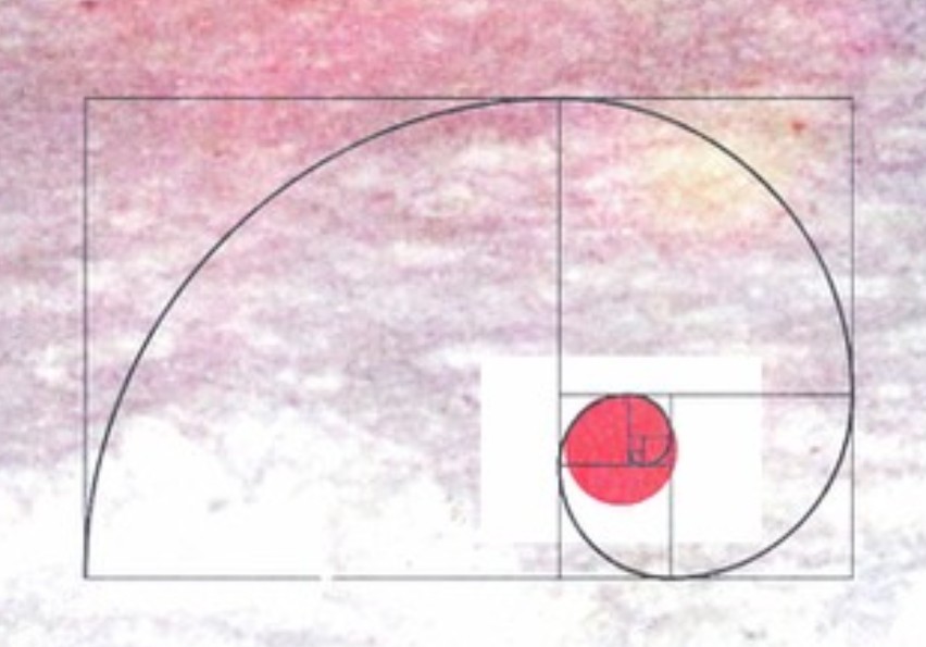 理系だから、スクリ来日のフライヤー見た瞬間フィボナッチ数列じゃん！ってテンションあがった私キモいな...。