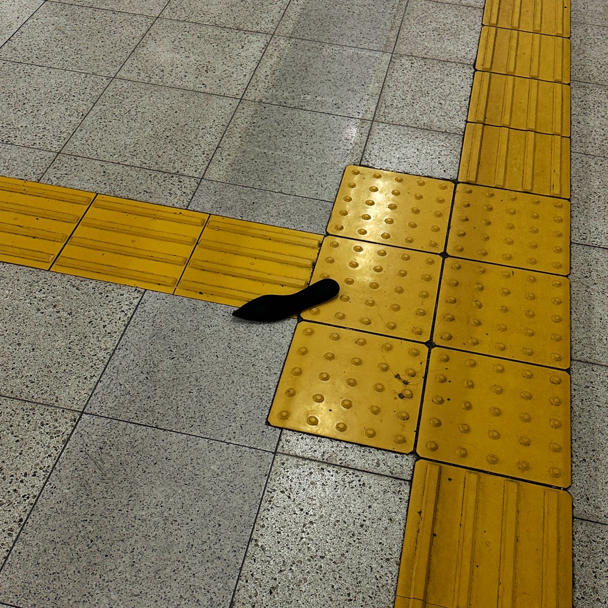 basy07's tweet photo. 靴の中敷き？
引き返すべきか https://t.co/FJ6Pu0u0Z1