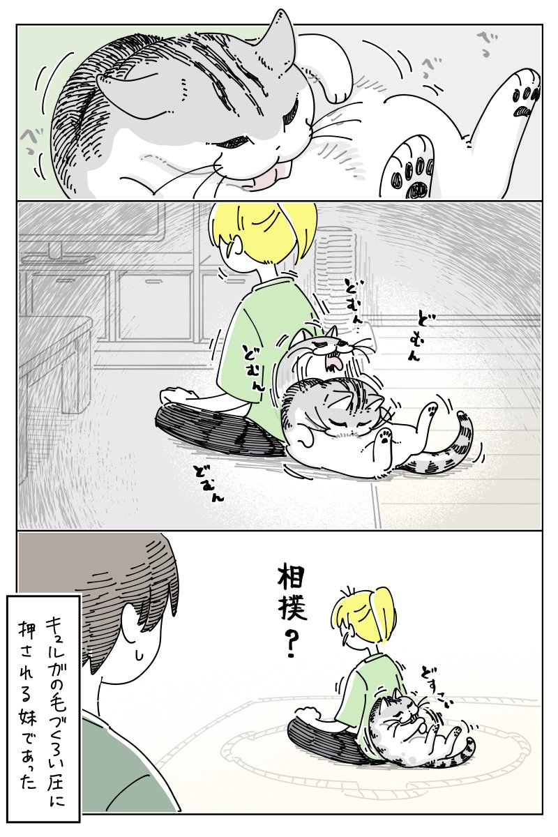 力強い毛づくろい
nekonavi.jp/catblog/archiv…