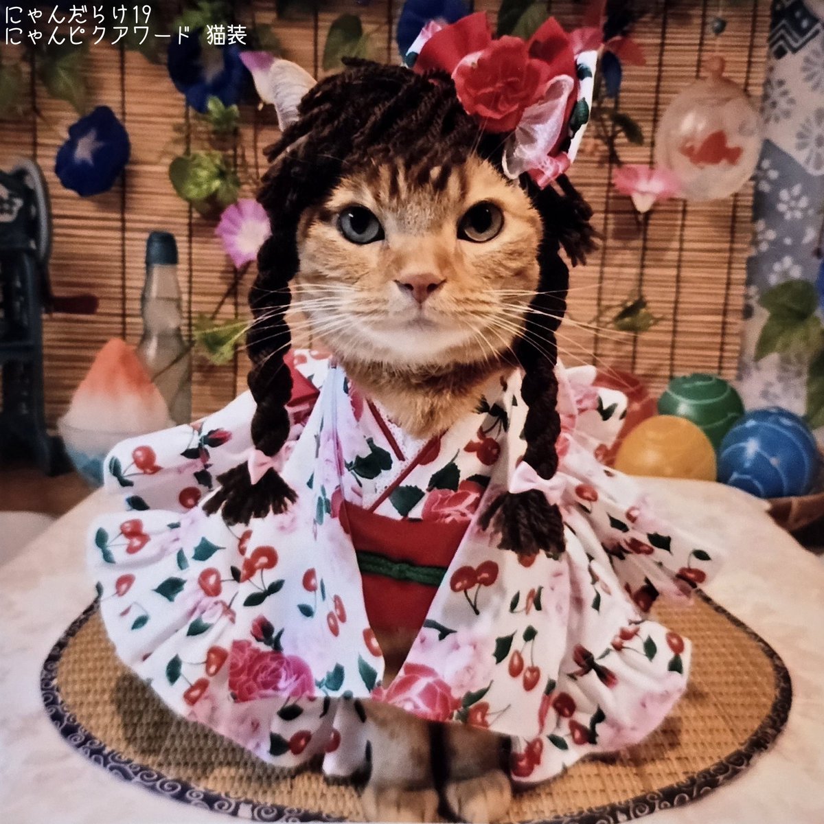 猫好きさんの祭典 にゃんだらけ【公式】X (@nyandaraketokyo) / Posts / X