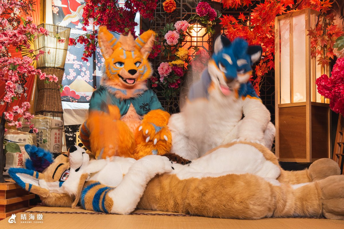 據說是充滿感情的互動🤌
-------
😸： <a href="/KarterLauder/">KarterLauder</a>
🐺： <a href="/LarsHagrid/">LarsHagrid🐺 🔜 FC2026</a>
📷： <a href="/tooruche/">晴海徹 (はるみ とおる) 寫真系Vtuber🔜獸無限</a>
🪡： <a href="/magichxh/">黑猫クロネコ</a>
#FursuitFriday #毛毛星期五 #小徹在攝攝