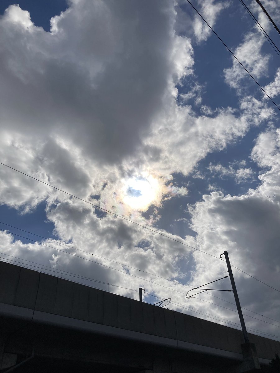 Good morning ☀️🕊️💕Afternoon 🍊
Evening 🍇 night ✨🦉