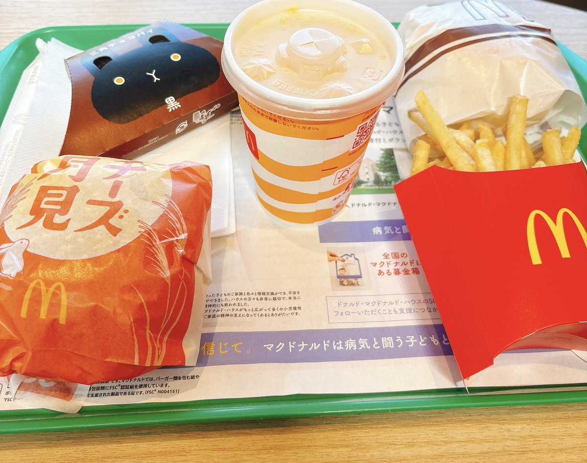 猫生初バーガー2個食べチャレンジ