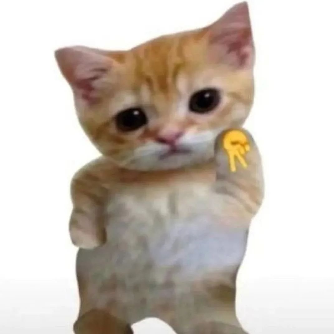 PunchingCat's tweet photo. https://t.co/gt2uw5Uk5K