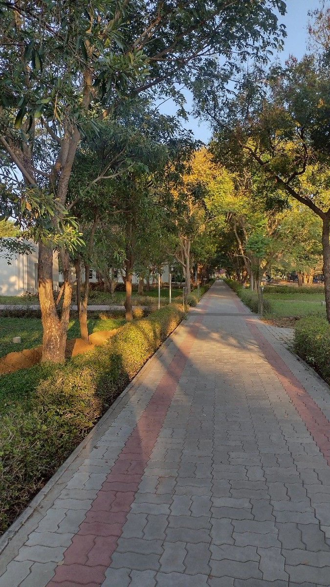 Coder661700's tweet image. gm chat 
how’s your winter arc going?
y’all locked in enough?

P.S : went for a morning walk ...