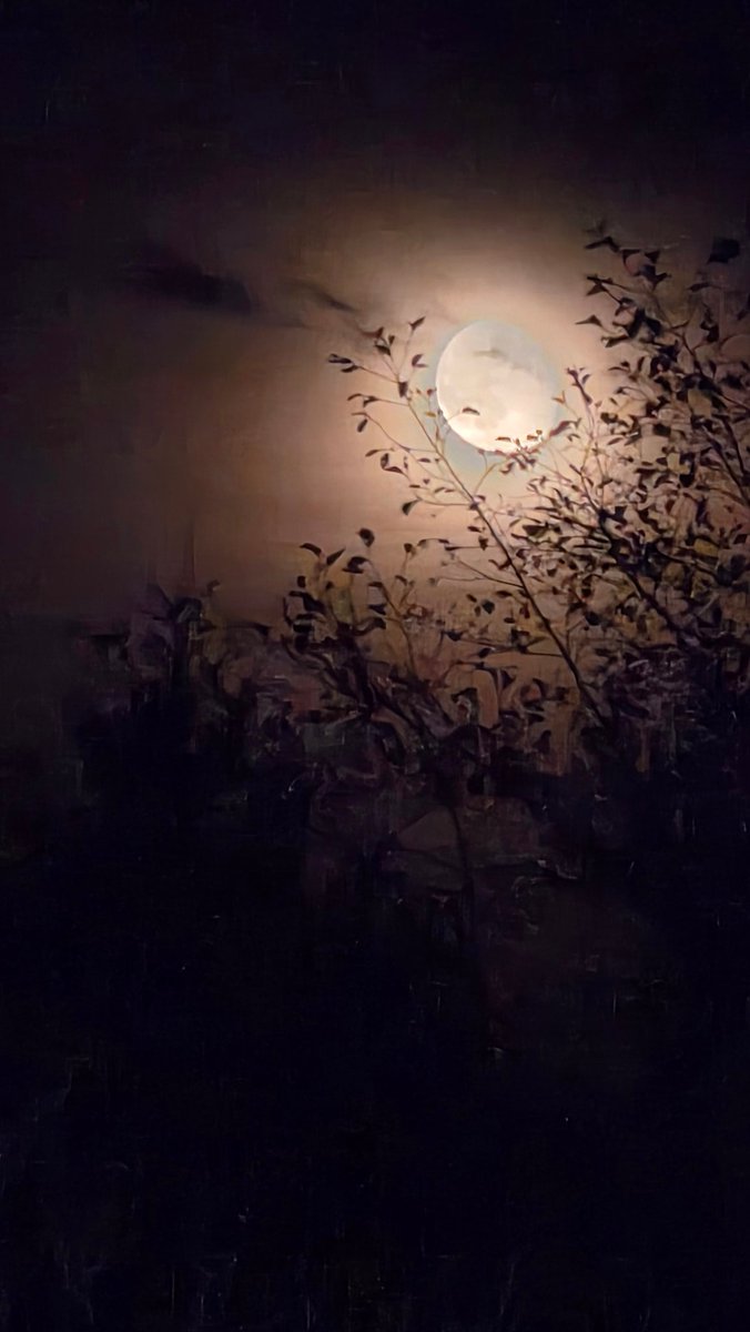 Type O Negative album cover vibes out there right now