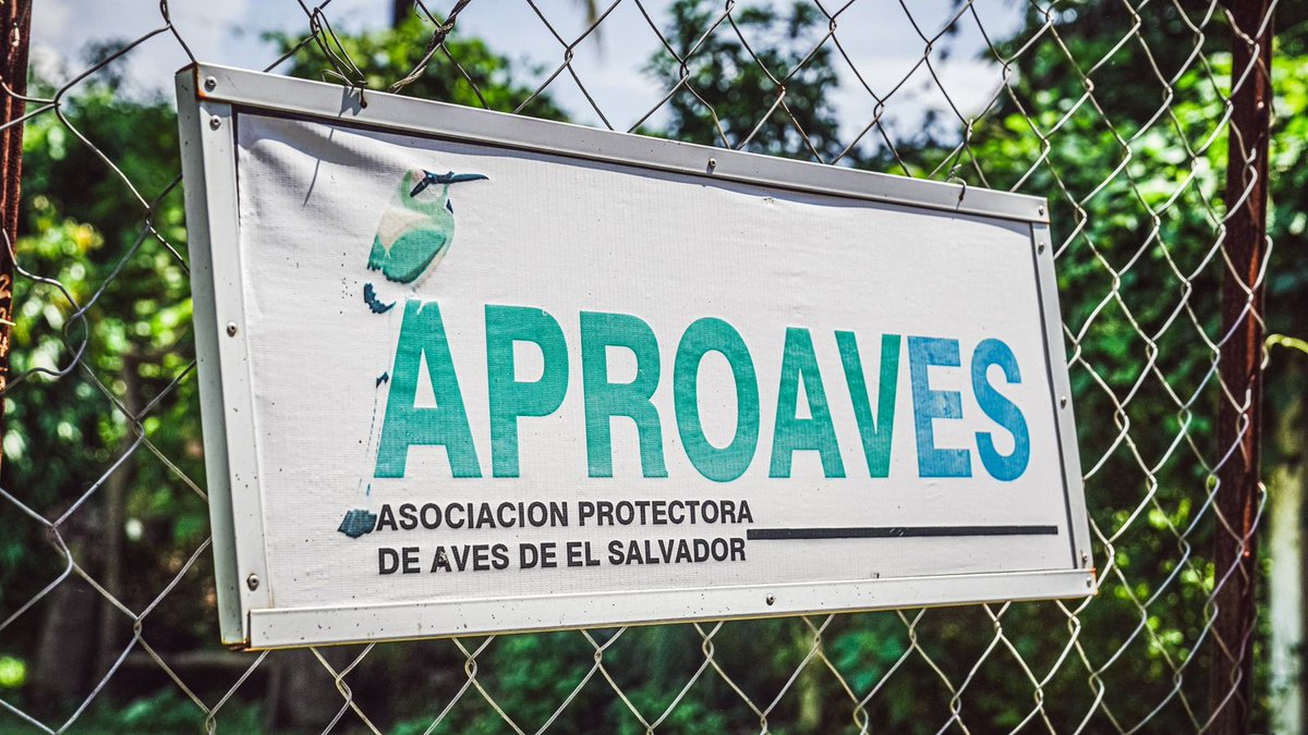 Noticiero El Salvador 🇸🇻 tweet media