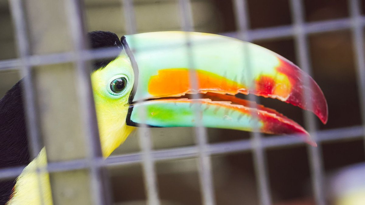 Noticiero El Salvador 🇸🇻 tweet media