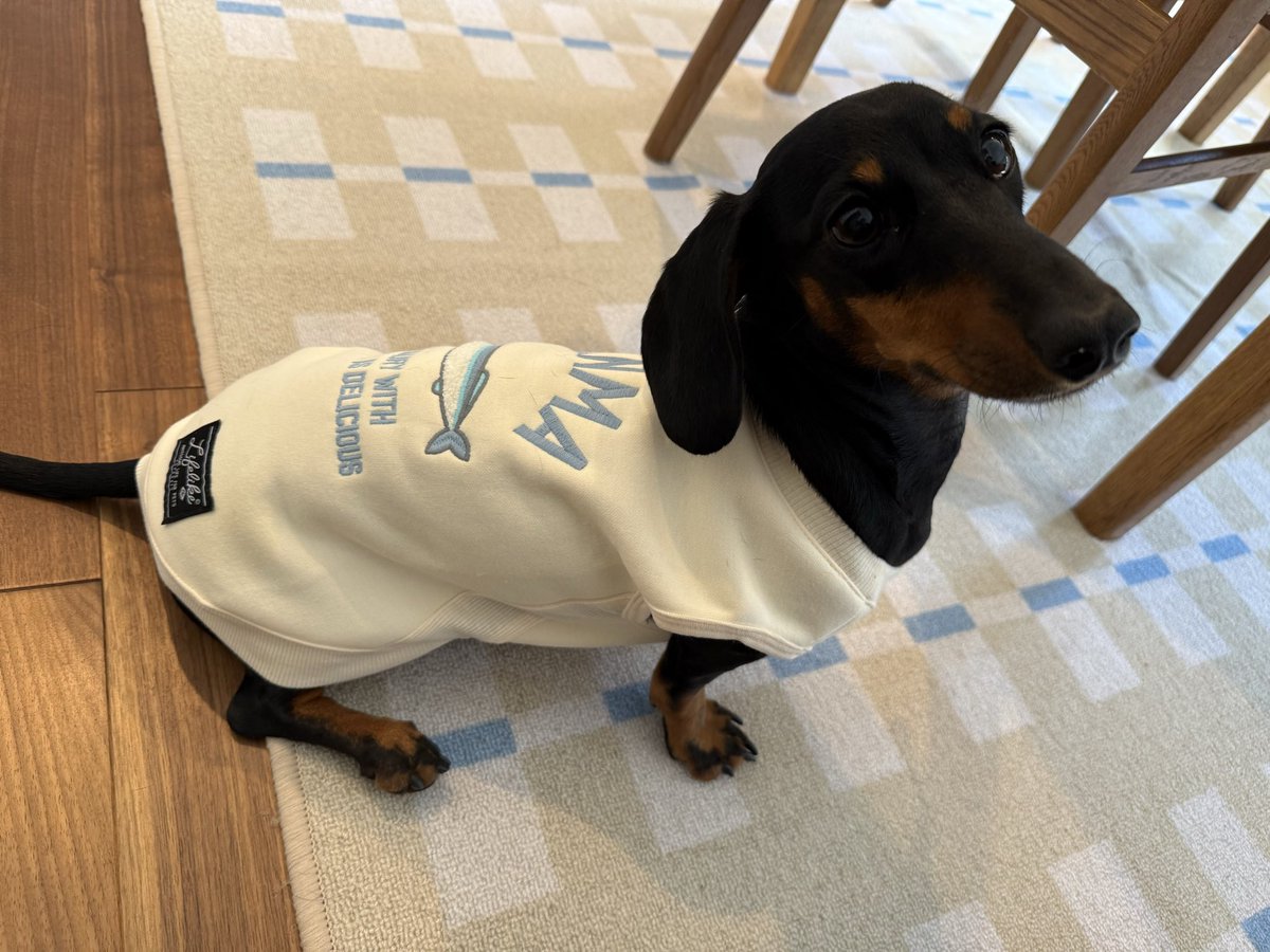 hosamayu114's tweet image. ままがさんますきだから
サンマトレーナーかったみたい🐶
似合ってるかな？

#スムダ