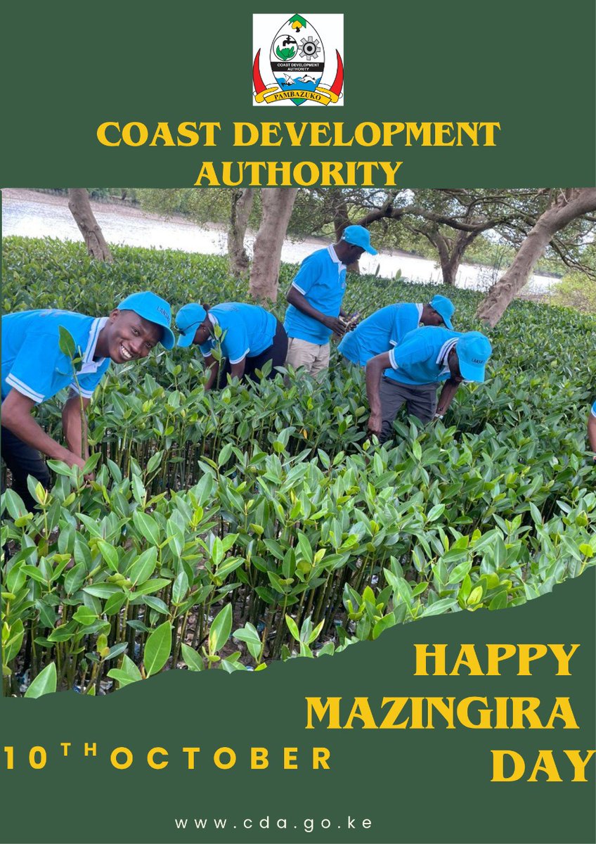 CDA has emphasized the  role of youth in driving innovation and sustainability within Kenya’s blue economy sector. Speaking during the second edition of the Vijana na Blue Economy Forum in Mombasa, Dr. Geoffrey Rono, who represented CDA Acting Managing Director Dr. Mwanasiti