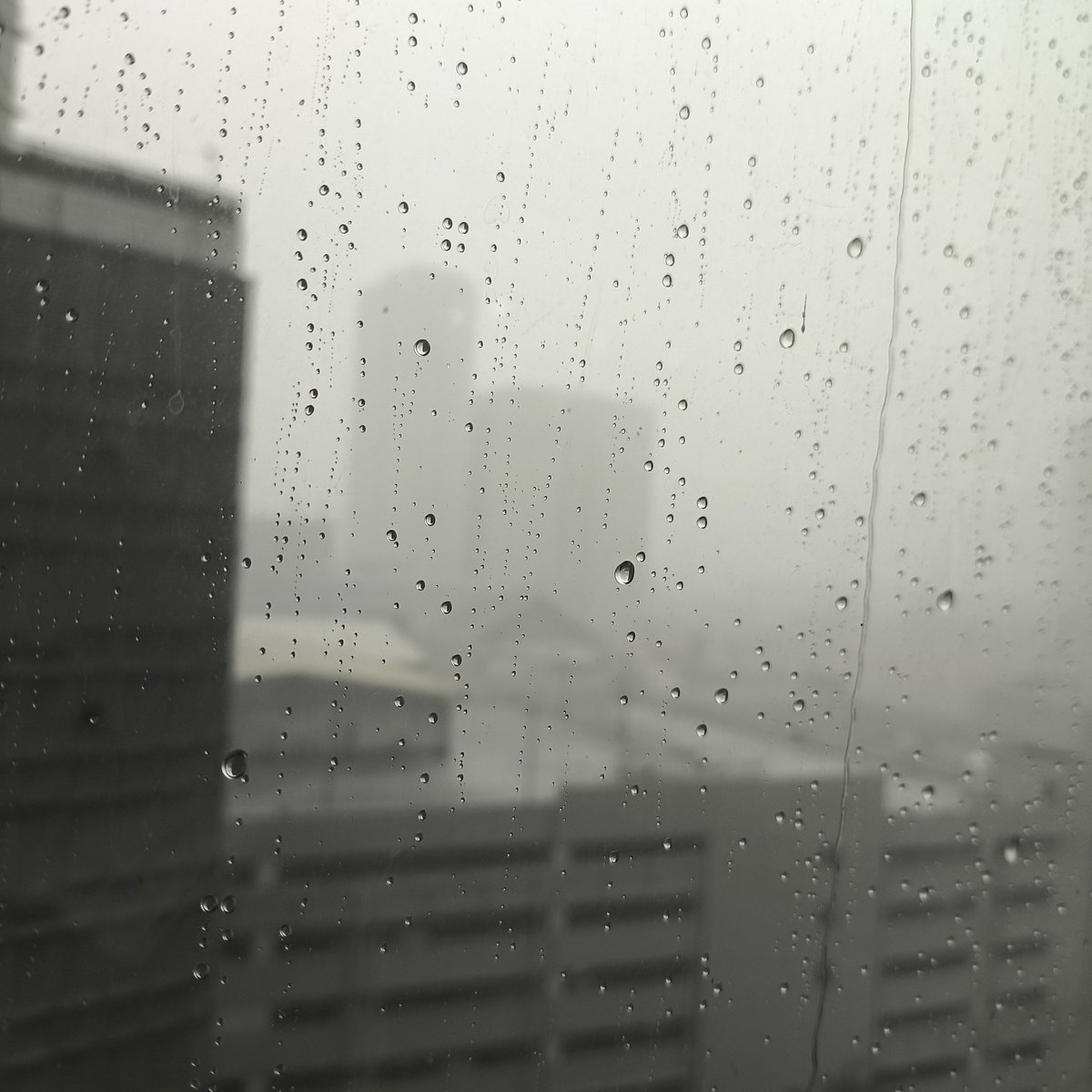 DropOutCandy's tweet image. Stay safe out there y'all 🙇