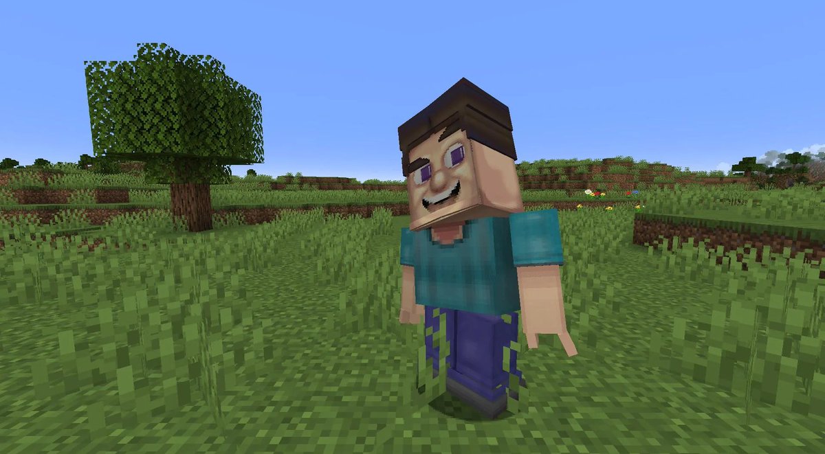 this u? ur minecraft erp model looks like grotesque steve