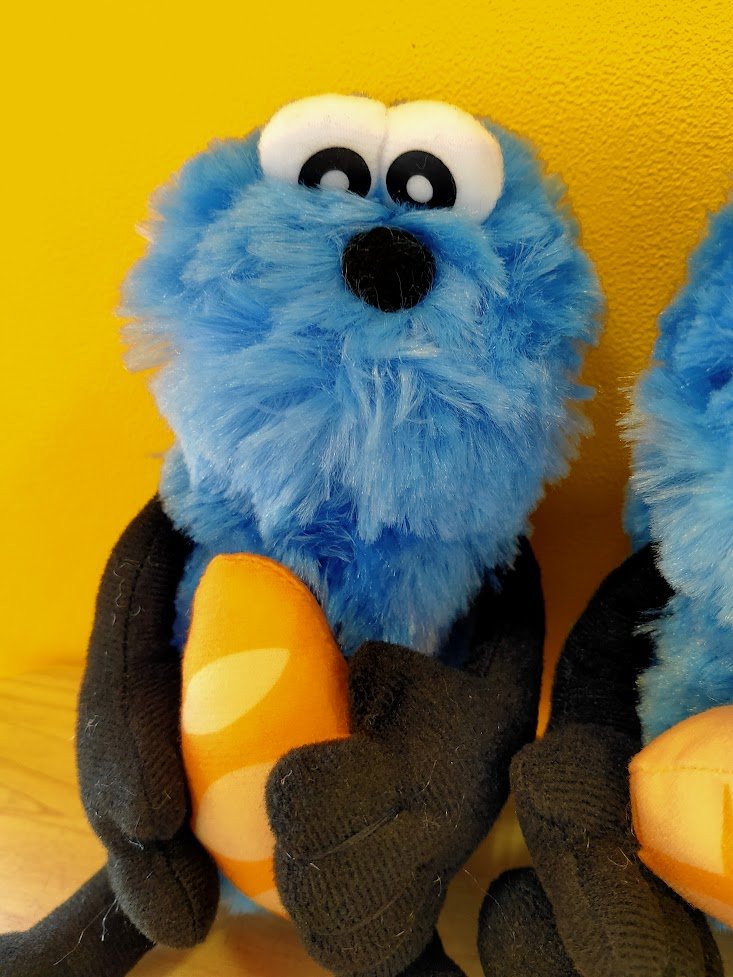 アミュージアム高松店 on X