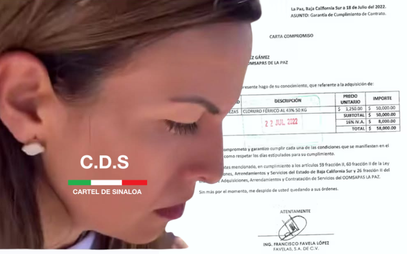 Marea Noticias BCS tweet media