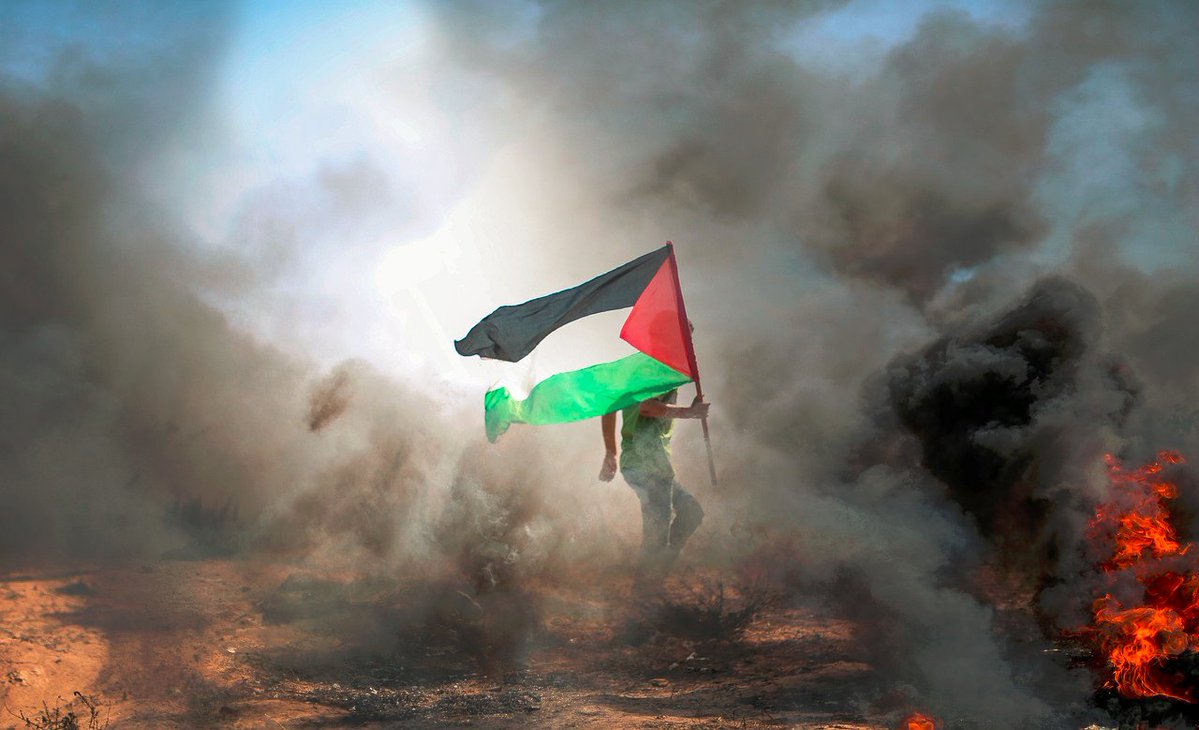 AMByteNet's tweet image. 5 Days in Israel's Desert Prison: Jewish Flotilla Activist David Adler on Harrowing Detention Ordeal
youtu.be/T_pM-ZDaPAA?si…
#mandela #israel #torture #abuse #palestine
