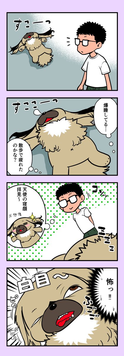 うちのちゃむ 〜寝顔編〜 #うちのちゃむ #ペキニーズ #ペキニーズ大好き #ペット #犬 #犬のいる暮らし #犬のいる生活 #可愛い #可愛すぎる #漫画が読めるハッシュタグ #エッセイ 