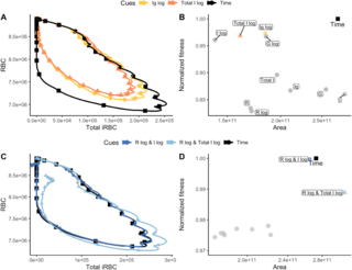 bloodSparasites's tweet image. #malaria #parasites can optimize transmission investment by sensing two within-host cues dlvr.it/TNb4kb @plosbiology.org