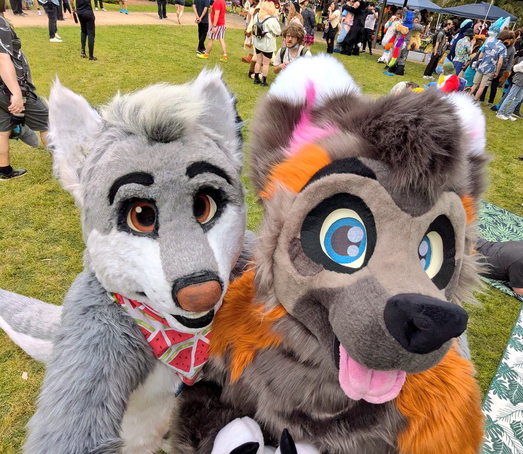 aRTi Husky 🐺 tweet media