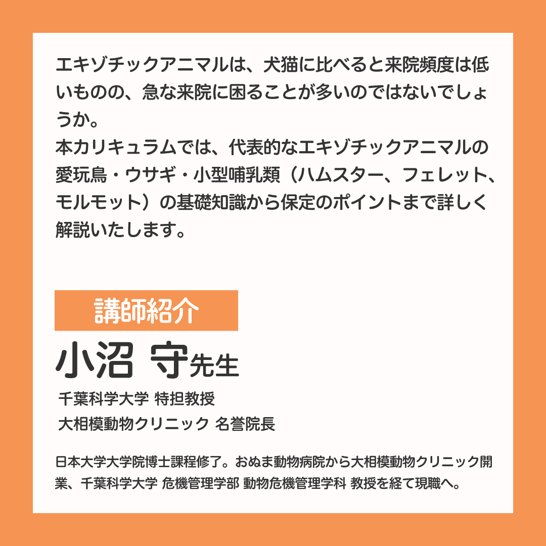 EDUWARD_Press's tweet photo. 【11月開講】
＼🔔エキゾチック動物の来院にも不安なく対応！／
VETS ACADEMY 動物看護コース　エキゾチックアニマルケア
▼ 詳しくみる
https://t.co/b6h7SDYcoY

「VETS ACADEMY動物看護コース」は、標準診療を支える動物病院スタッフのための学習プログラムです。
動物病院スタッフが、臨床現場において必要な知識と技術を、5回のオンデマンド講義で体系的に学びます。
業務に慣れて自己流になりがちな知識や技術を、獣医学的根拠に基づいた標準的な知識と技術にアップデートできます。

本コースでは、遭遇頻度が高いエキゾチックアニマルの生態に関するポイントや、飼育において重要な栄養管理、種別の動物看護や安全な保定について解説いたします。