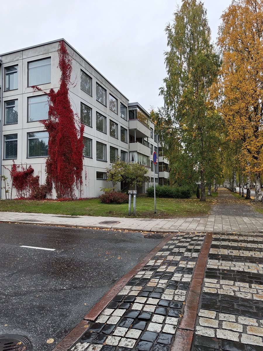 В Финском есть слово ruska это  период золотой осени, когда деревья (особенно берёзы, клёны и другие лиственные породы) приобретают яркие красные, оранжевые и жёлтые тона. в северных широтах, и Финляндии, осень особенно яркая и короткая.

Давайте ваши осени